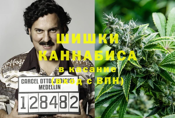 шишки Абинск