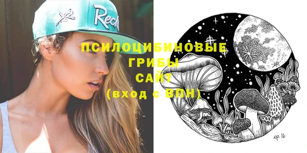 шишки Абинск
