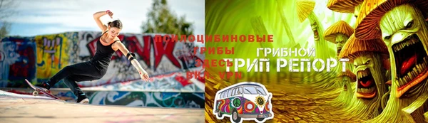 ГАЛЛЮЦИНОГЕННЫЕ ГРИБЫ Осинники