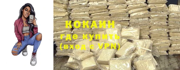 шишки Абинск