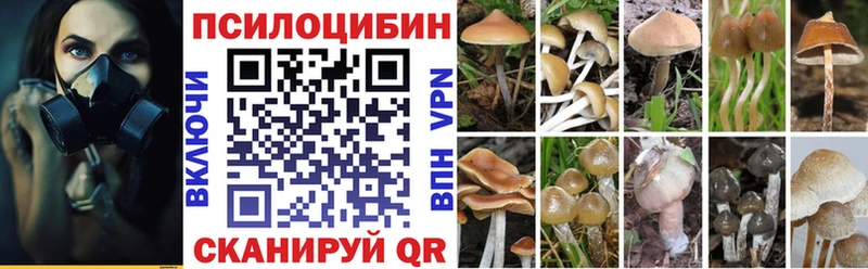 Псилоцибиновые грибы MAGIC MUSHROOMS  Остров 